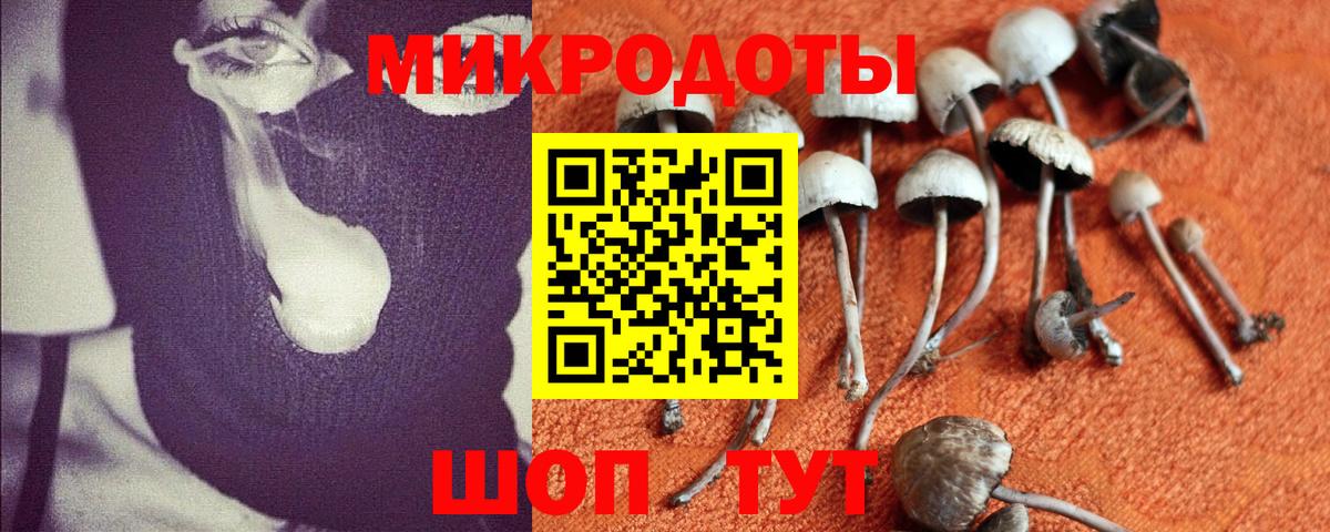 Ангарск  Галлюциногенные грибы прущие грибы  Вход с VPN 